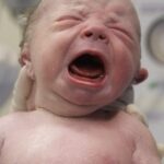 To Celebrate or Not to Celebrate: Reflecting 