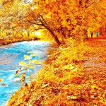 Signs It’s Too Long Since You Ran