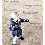 Let’s Go Fly a Kite