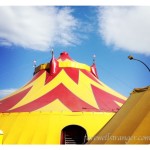 Bring on the Elephants