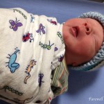 The Baby Formerly Known as Hector